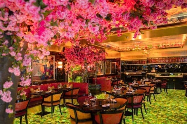 the ivy asia