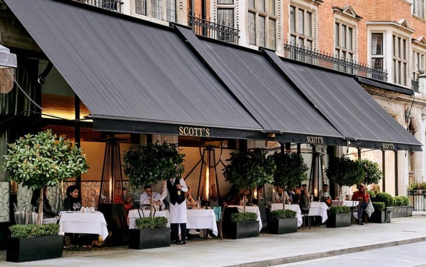 scott's mayfair