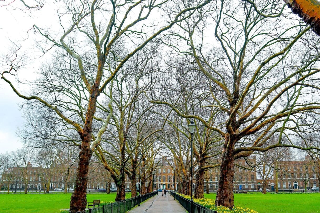 highbury fields