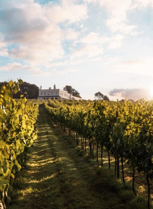 Lympstone Manor, Devon english wines