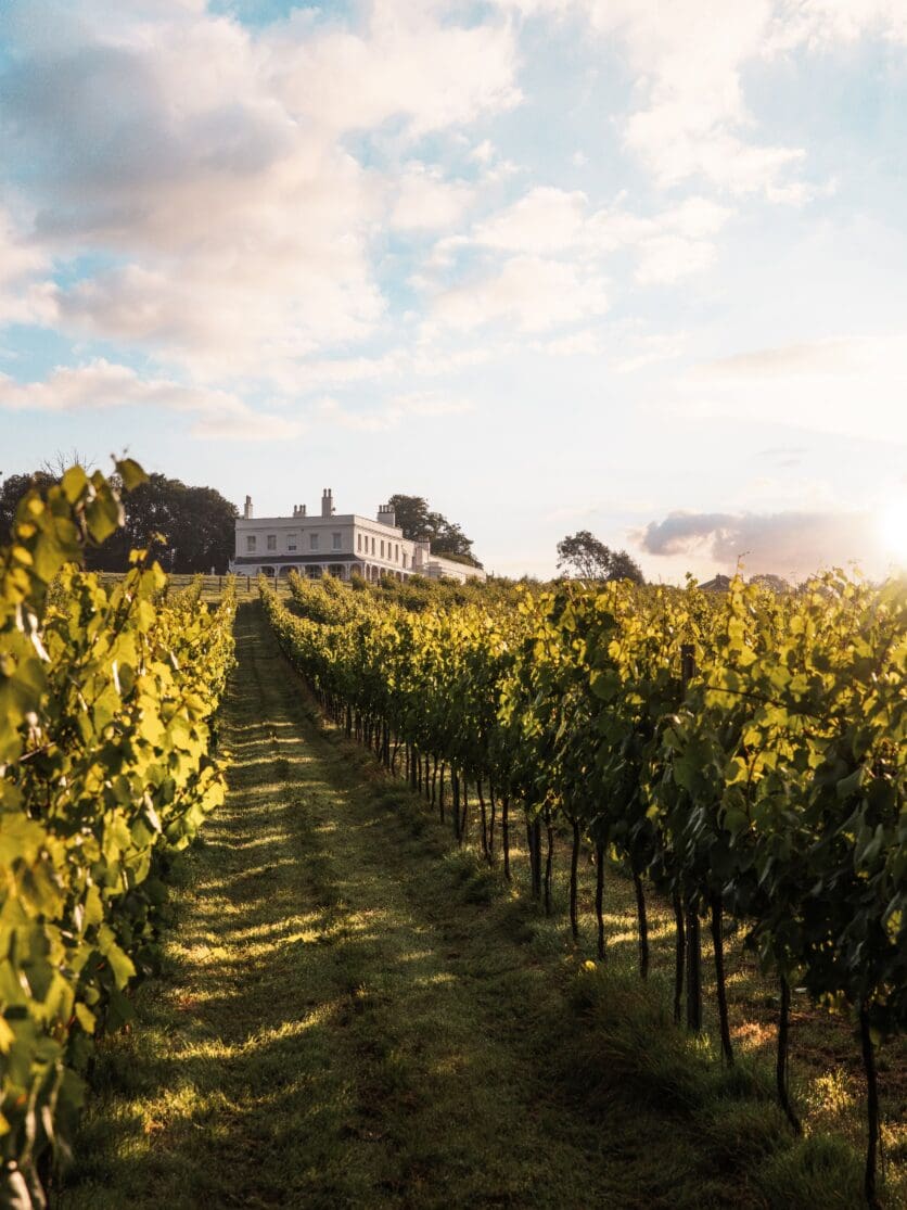 Lympstone Manor, Devon english wines