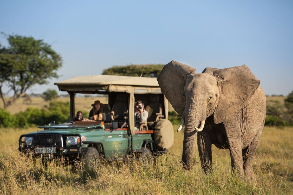 Great Plains’ Zamara Private, Kenya