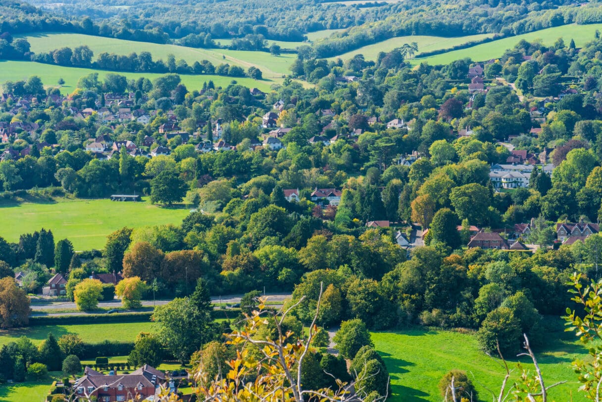 North Downs, Surrey